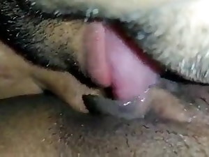 Grub Streeter gobbling desi mom&rsquo;s pussy
